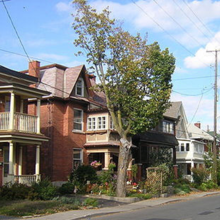 Glebe Cropped