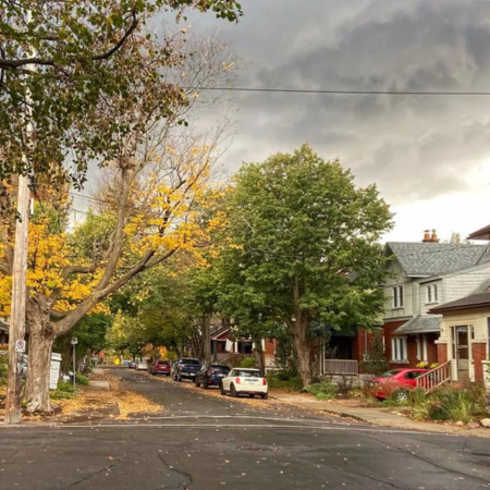 Old Ottawa South Pic
